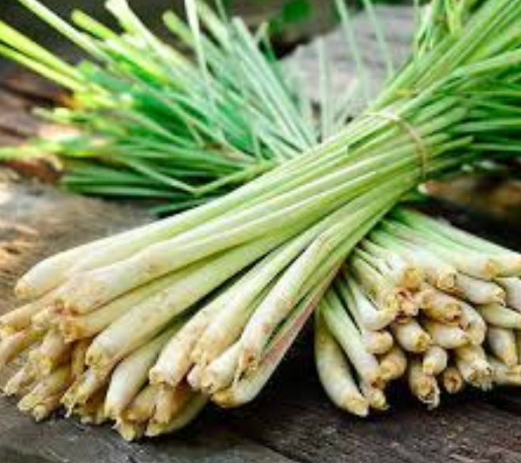 Lemongrass Olive Oil- 200 ml