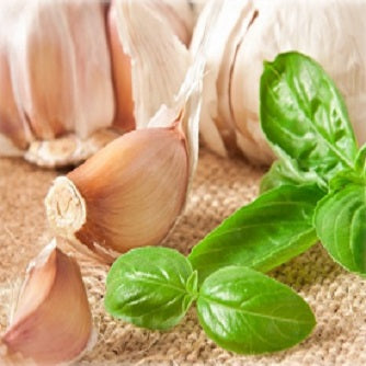 O&V Garlic Basil Fused Olive Oil