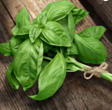 Fresh Basil - white Balsamic