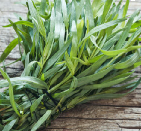 Tarragon Infused Olive Oil