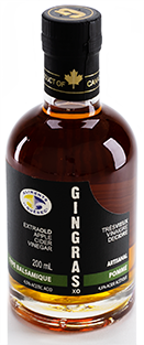 Gingras  Apple Cider Vinegar - Quebec