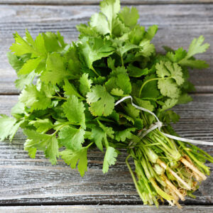 Cilantro White Balsamic