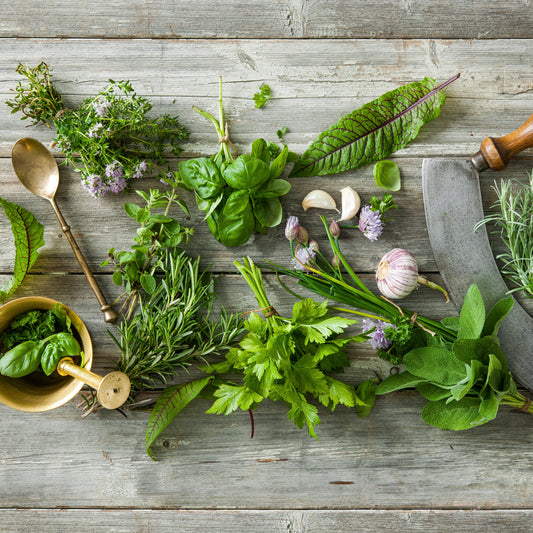 fresh herbs, garlic , basil, oregano, rosemary make a delicious balsamic vinegar