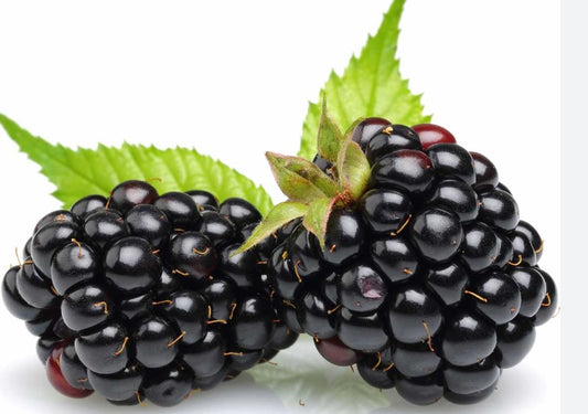 2,Ripe blueberries. Our blueberry balsamic is sweet and delicious