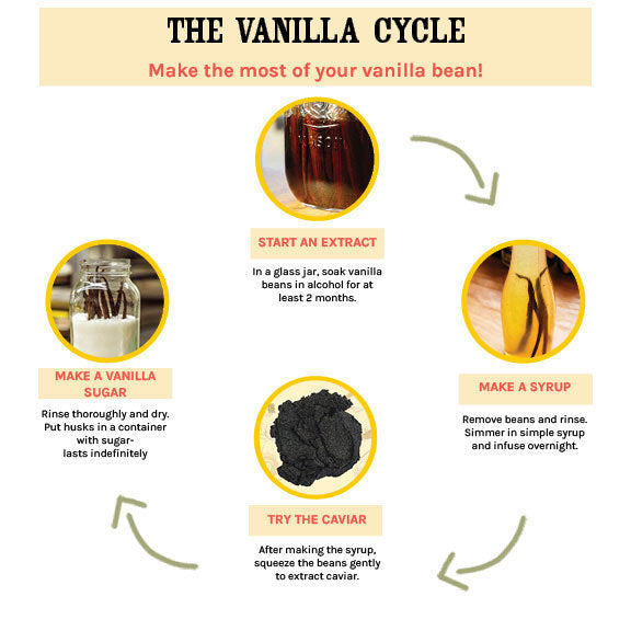 Vanilla Extract Bottle 5ct